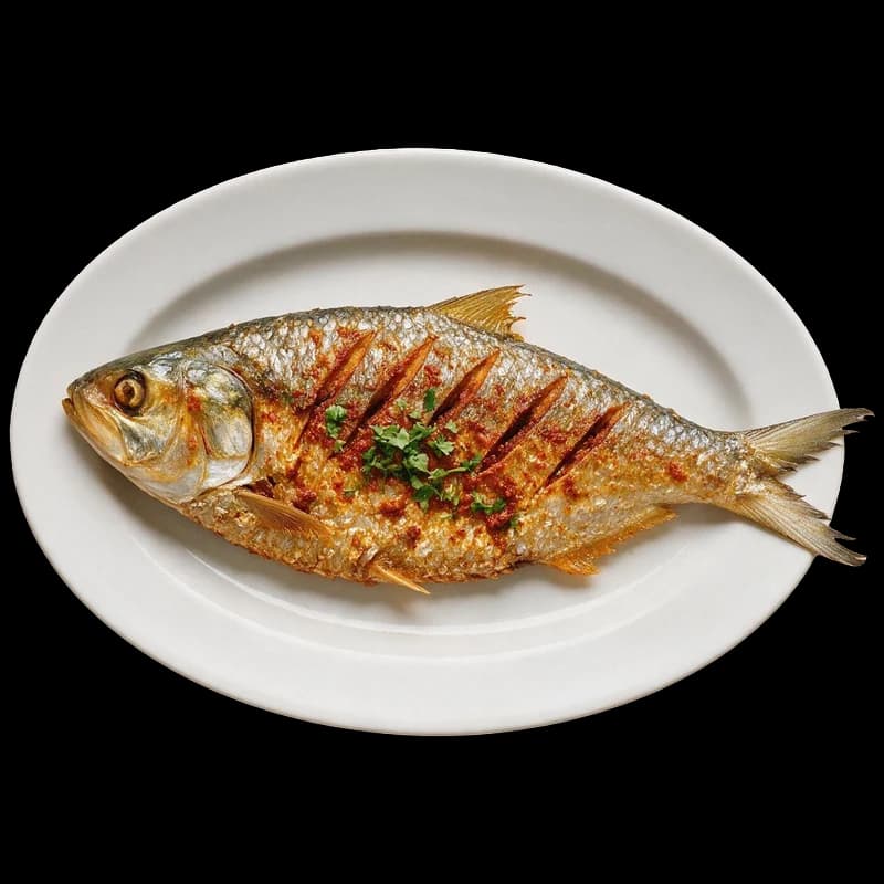 Palla Fish